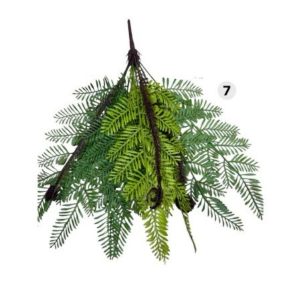 Daun Pakis Artificial/Daun pakis Latek