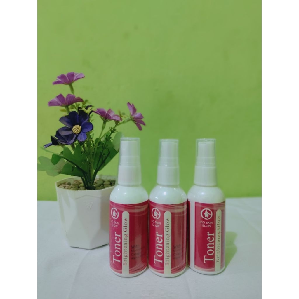 3PCS PAKET WAJAH
