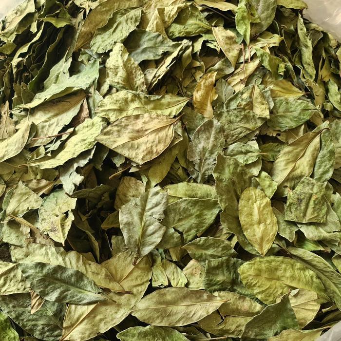 Daun Salam Kering 100gr