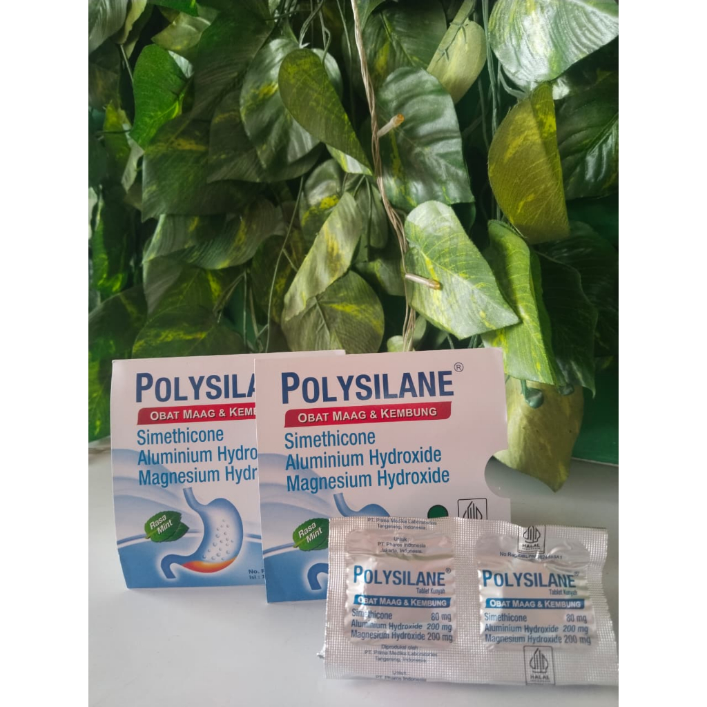 POLYSILANE 1 STRIP @ 8 TABLET KUNYAH