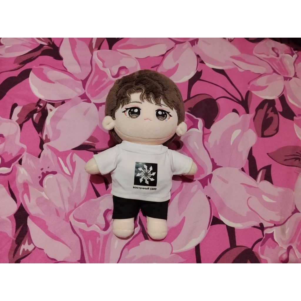 Wang Yibo doll 25cm