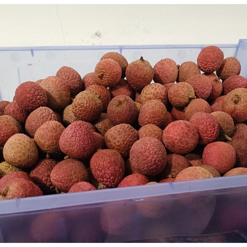 LECI MADU / MERAH