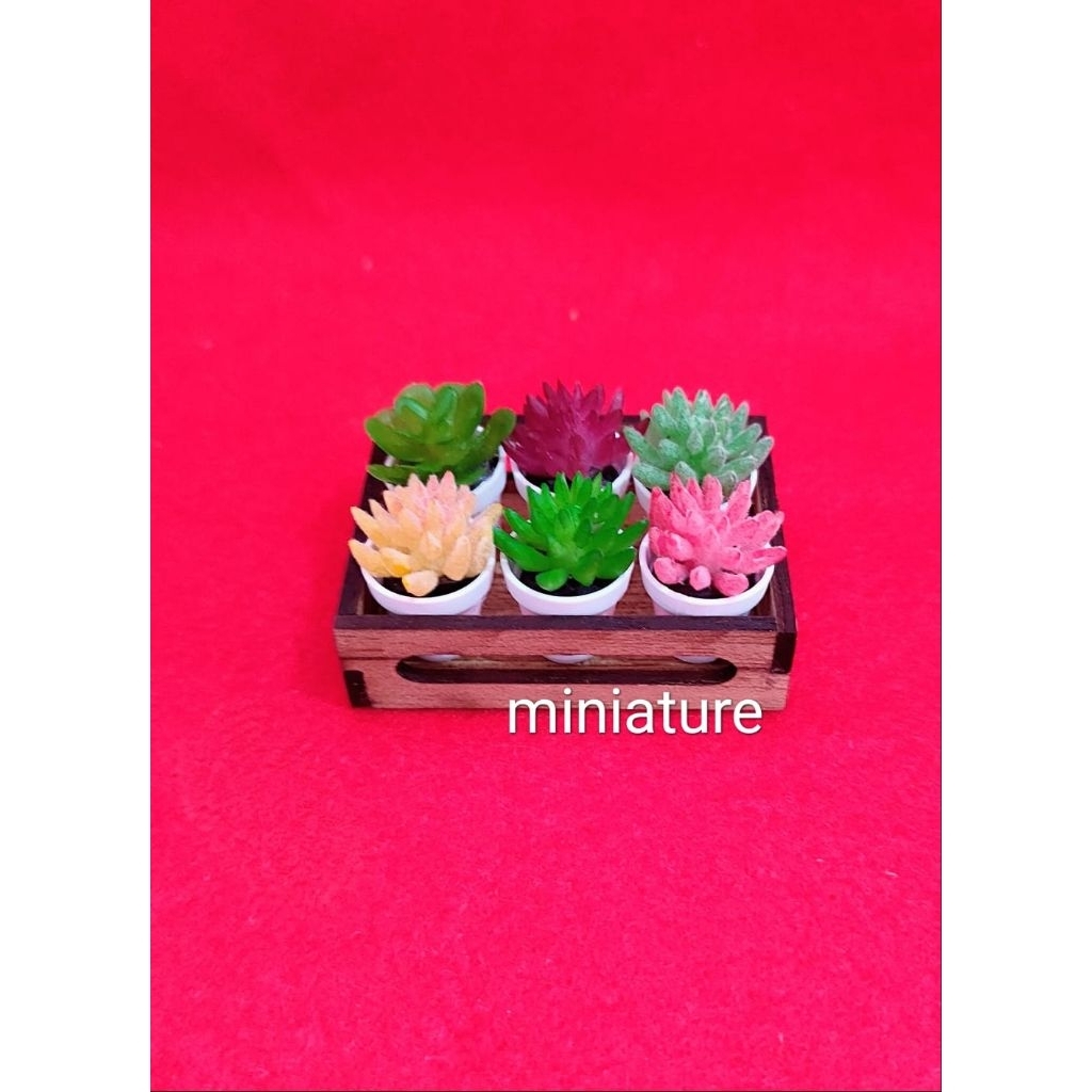 1 set 6 pc miniatur pot bunga kaktus