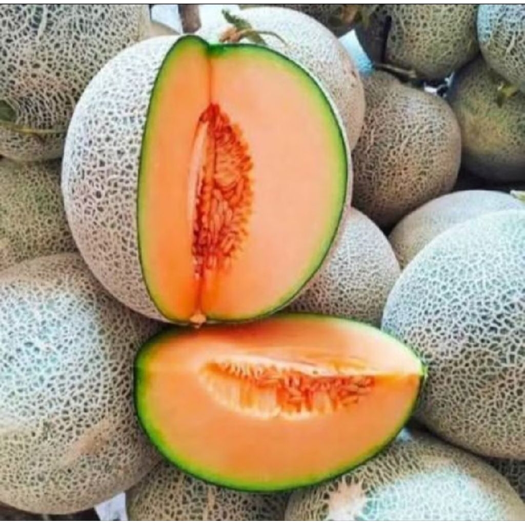 Melon OrangeManis