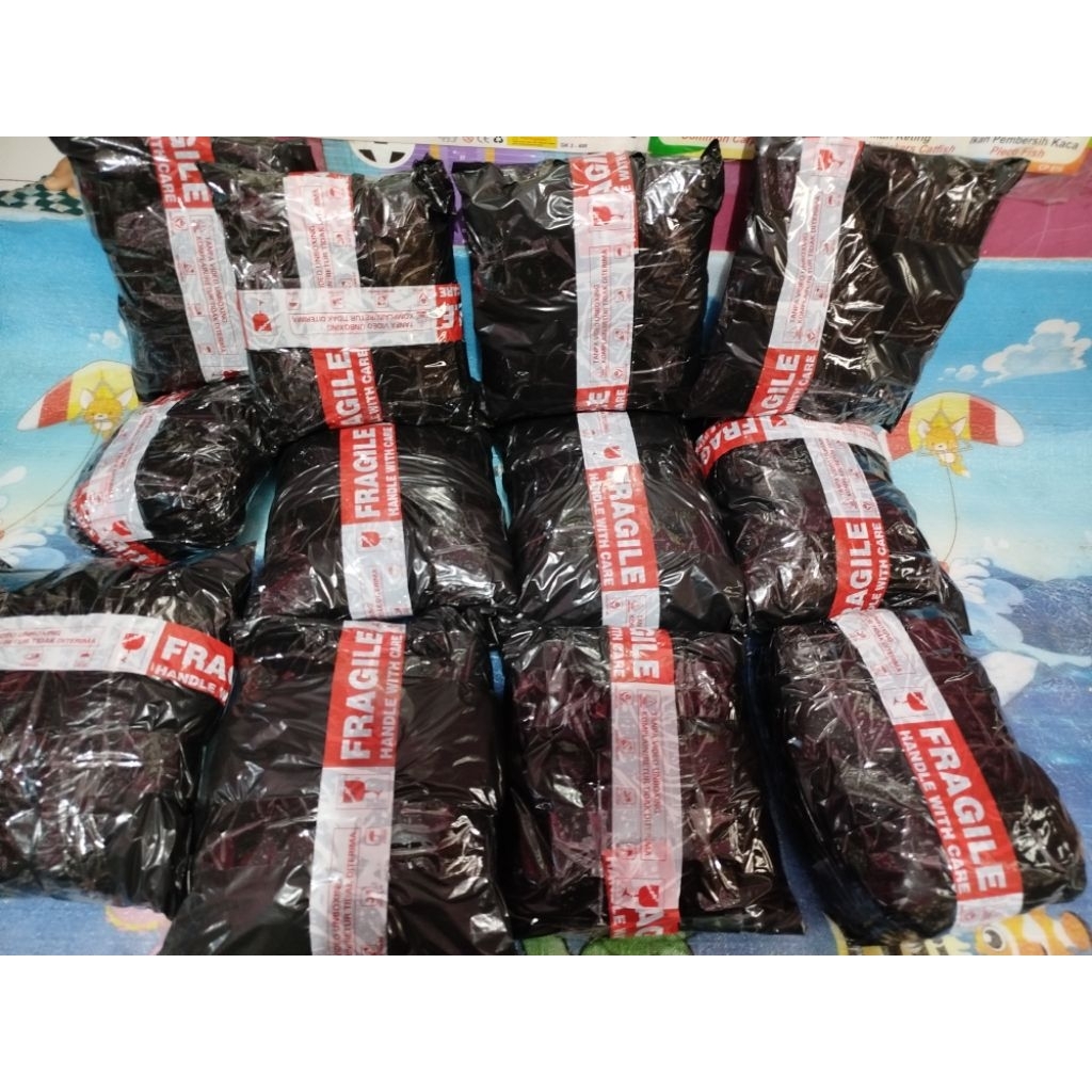 besar 10KG