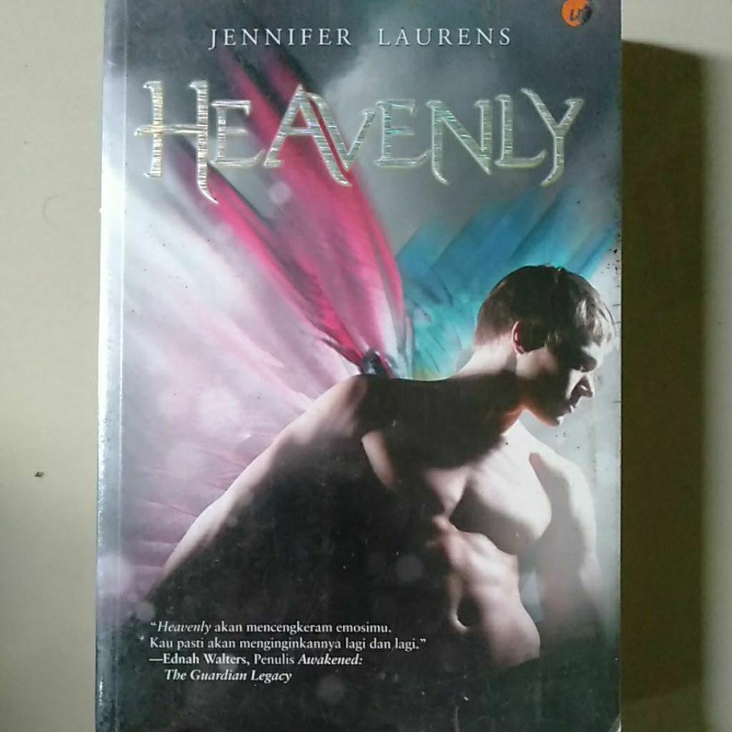 buku heavenly