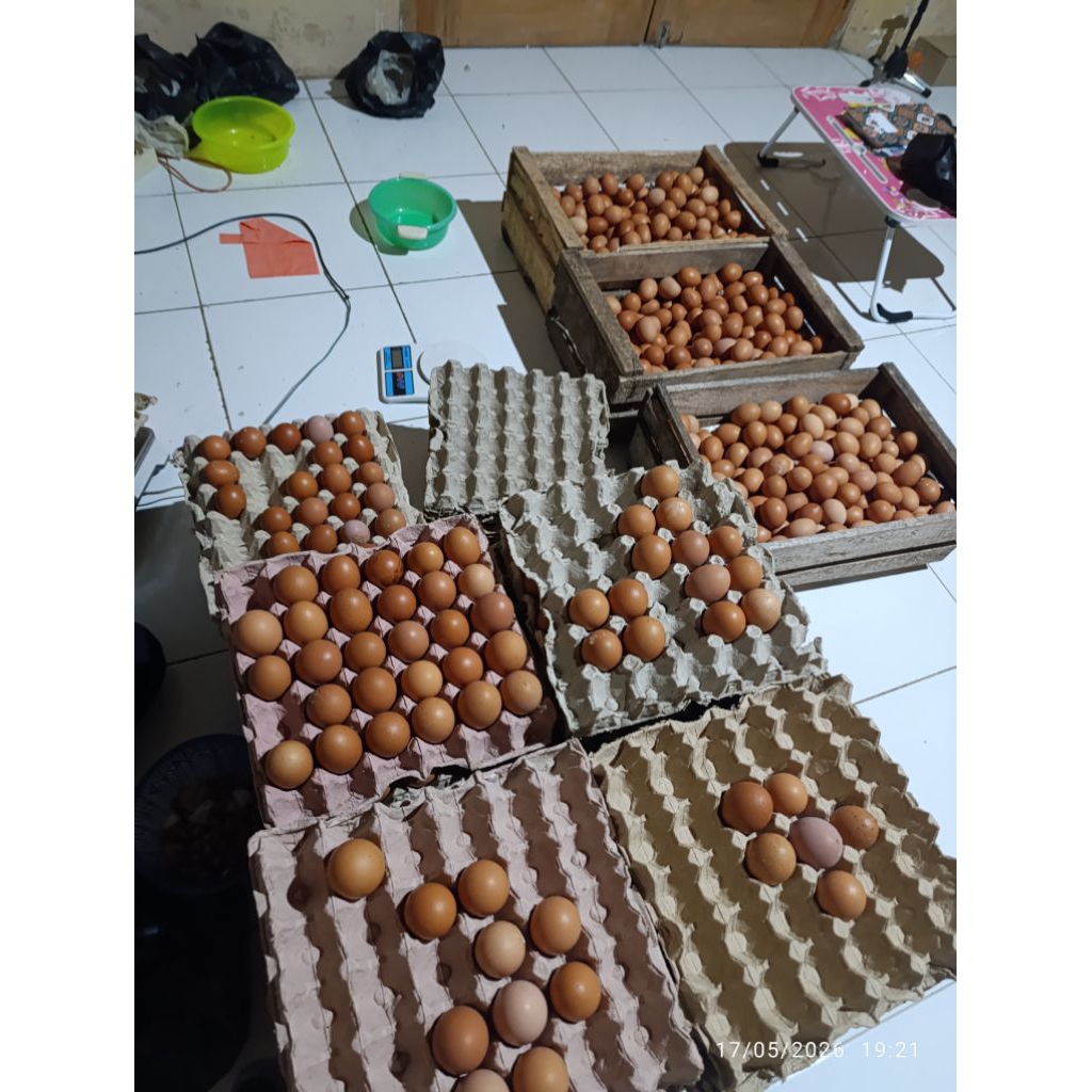 Telur 1kg mlilir dolopo