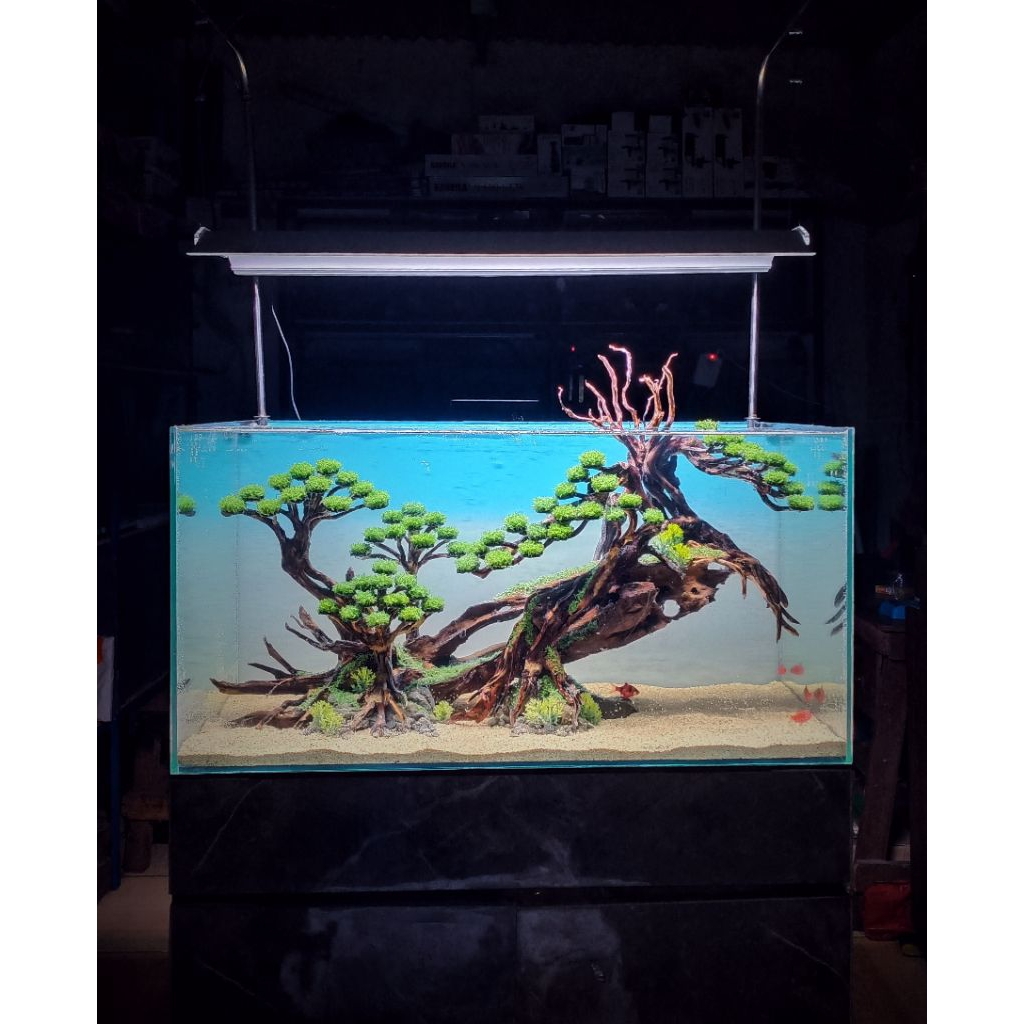 Aquascape