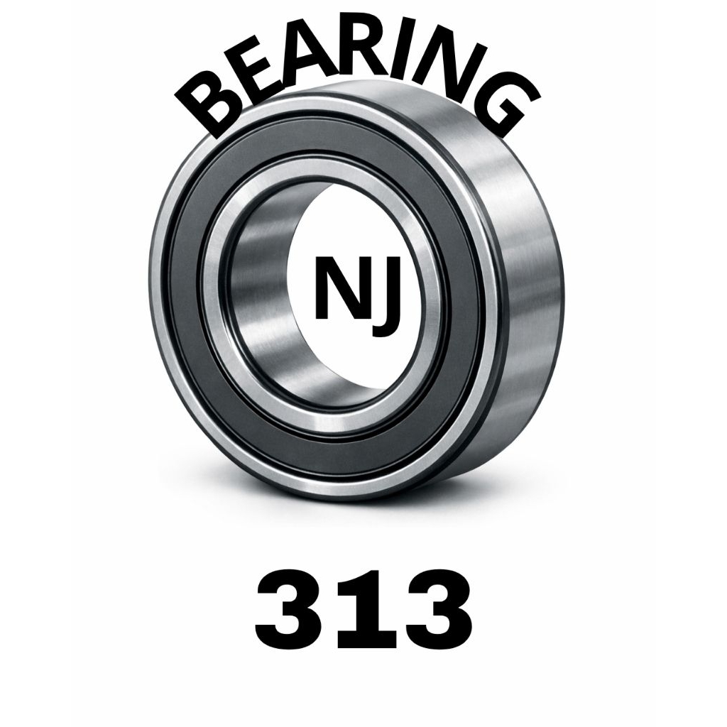 BEARING NJ 313