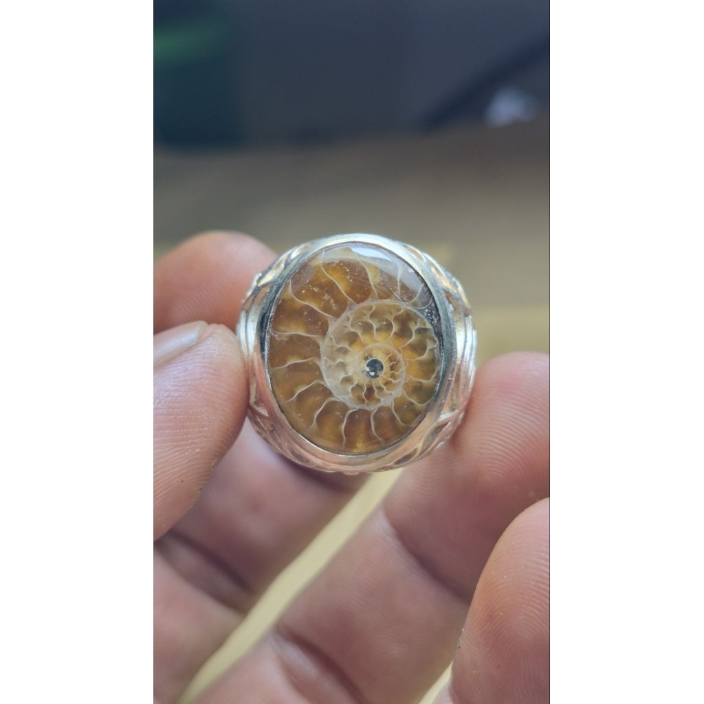 natural amonite