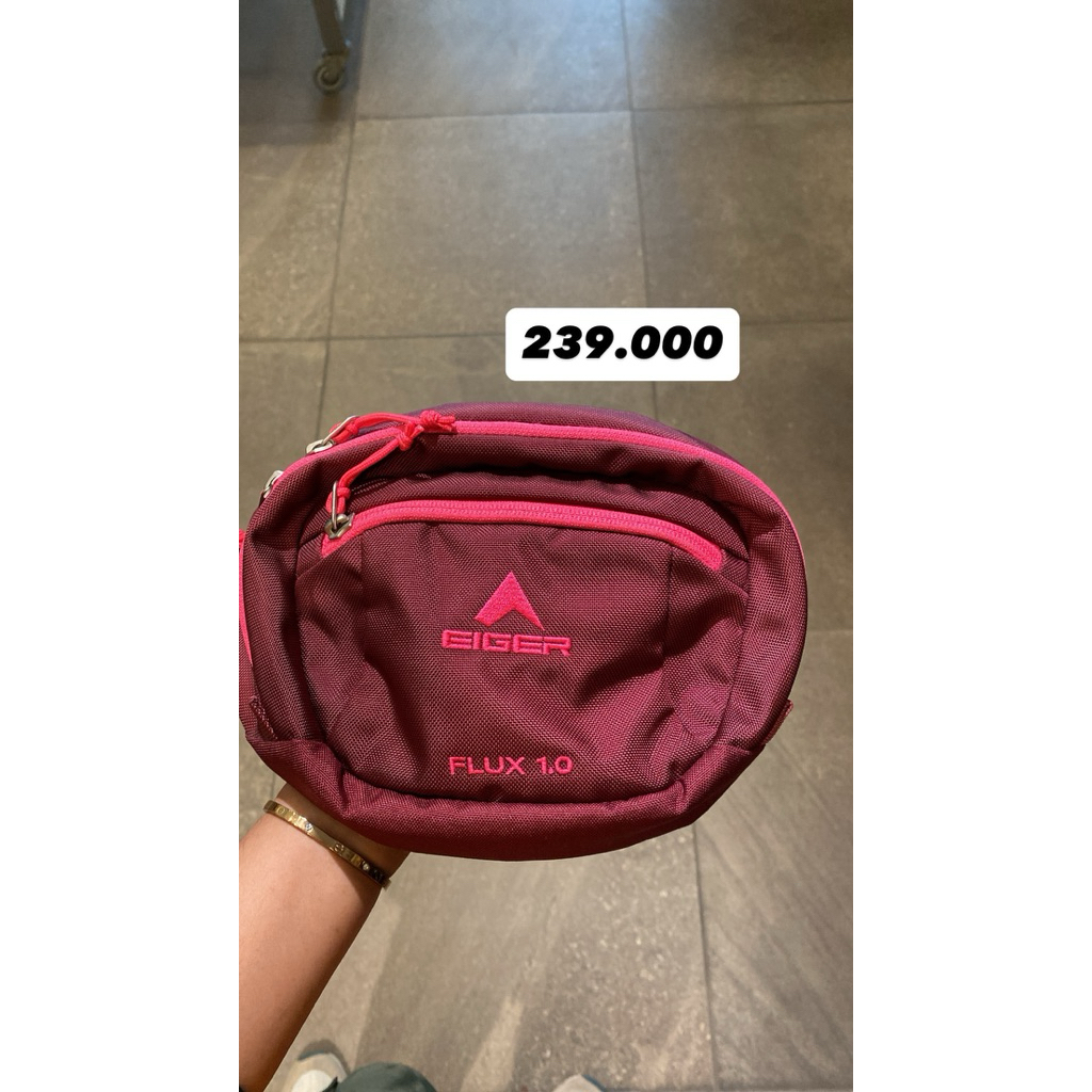 FLUX 1.0 EIGER