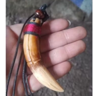 kalung taring