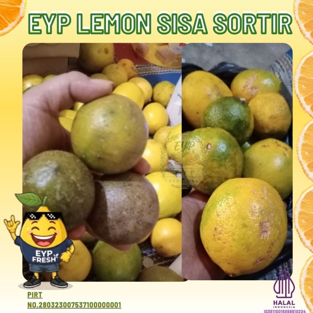 LEMON RIJECK, SISA SORTIR