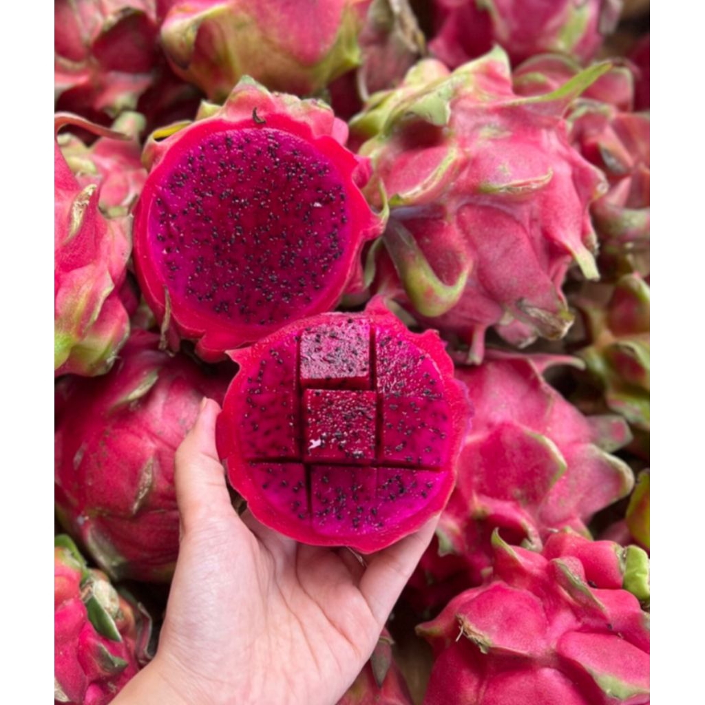 BUAH NAGA 1KG
