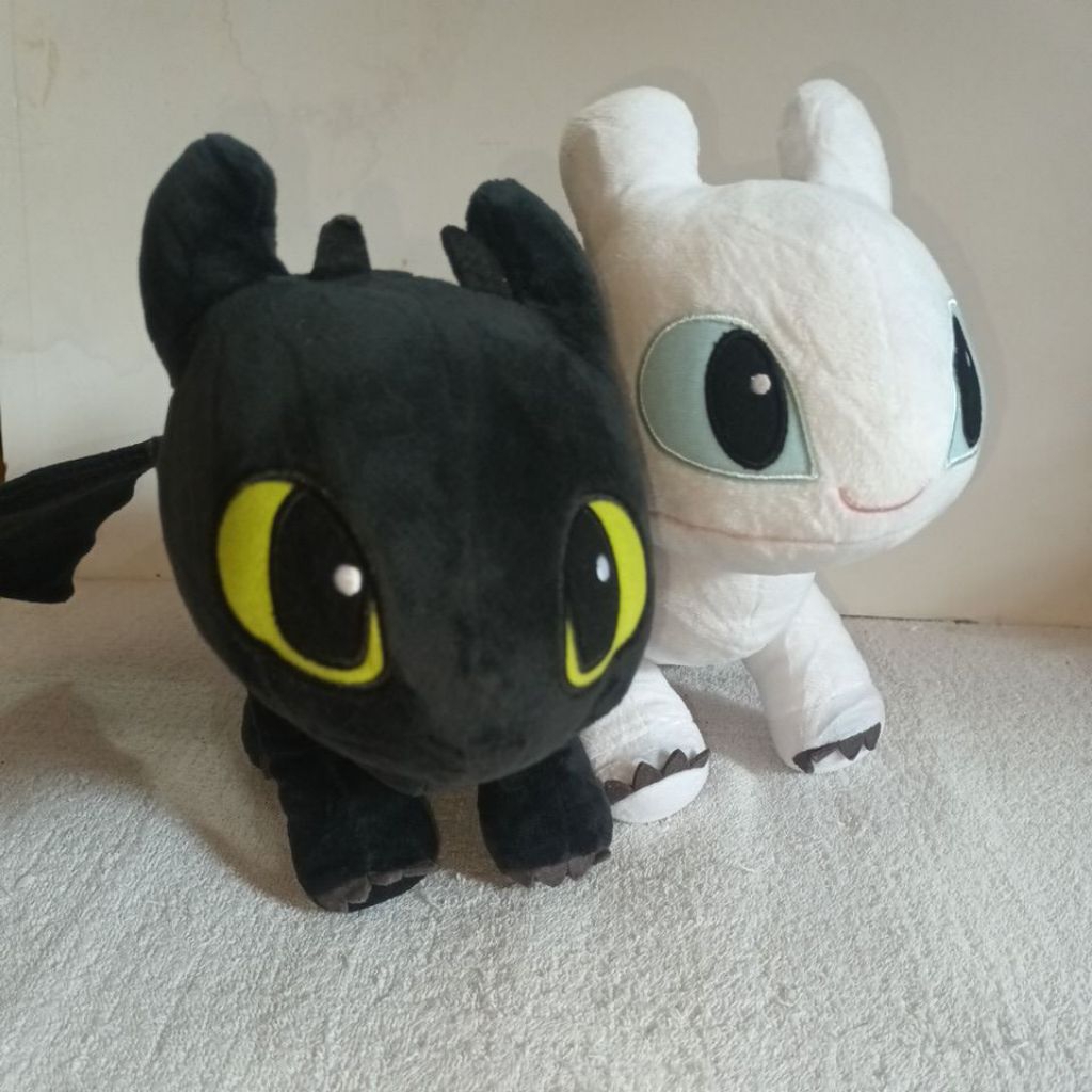 Toothless and the Light Fury