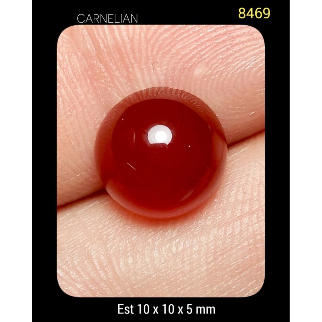 8469 Batu Carnelian