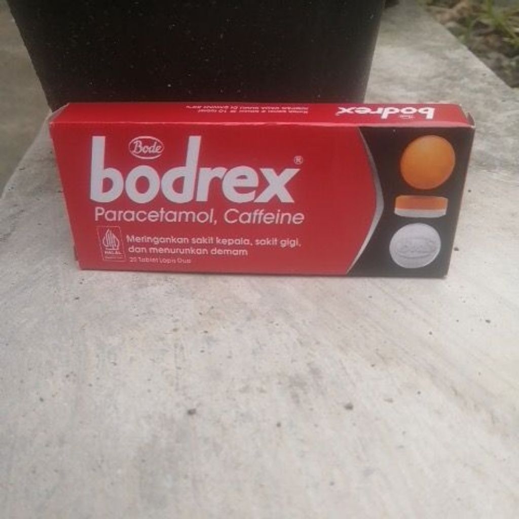 bodrex 1 box