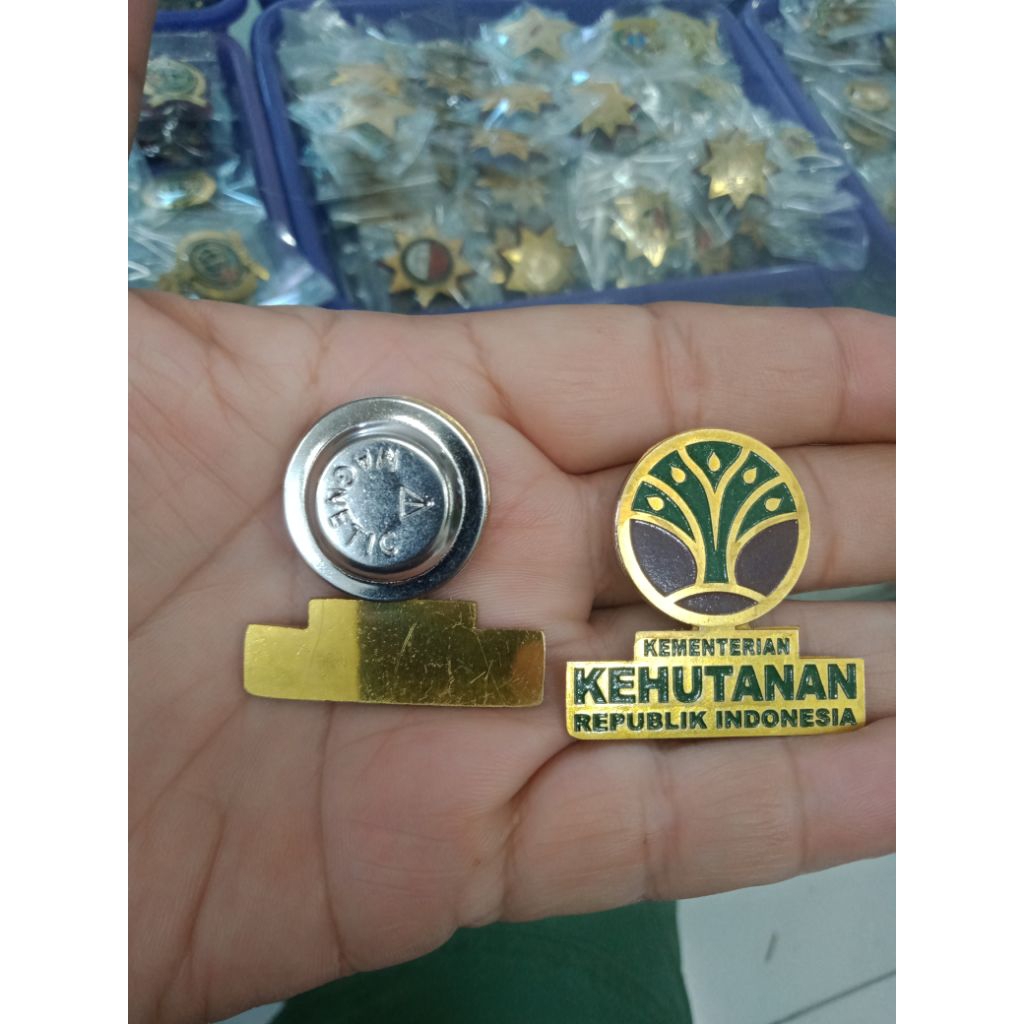 pin kementrian kehutanan