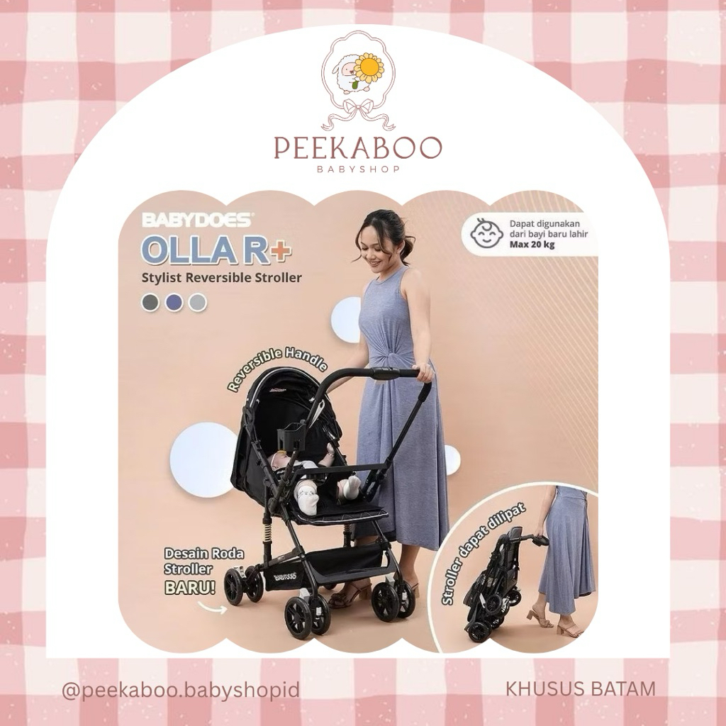 BABYDOES OLLA R+ Stroller