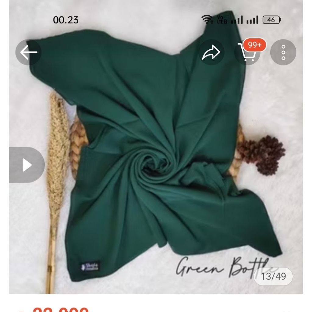 pashmina Ceruti