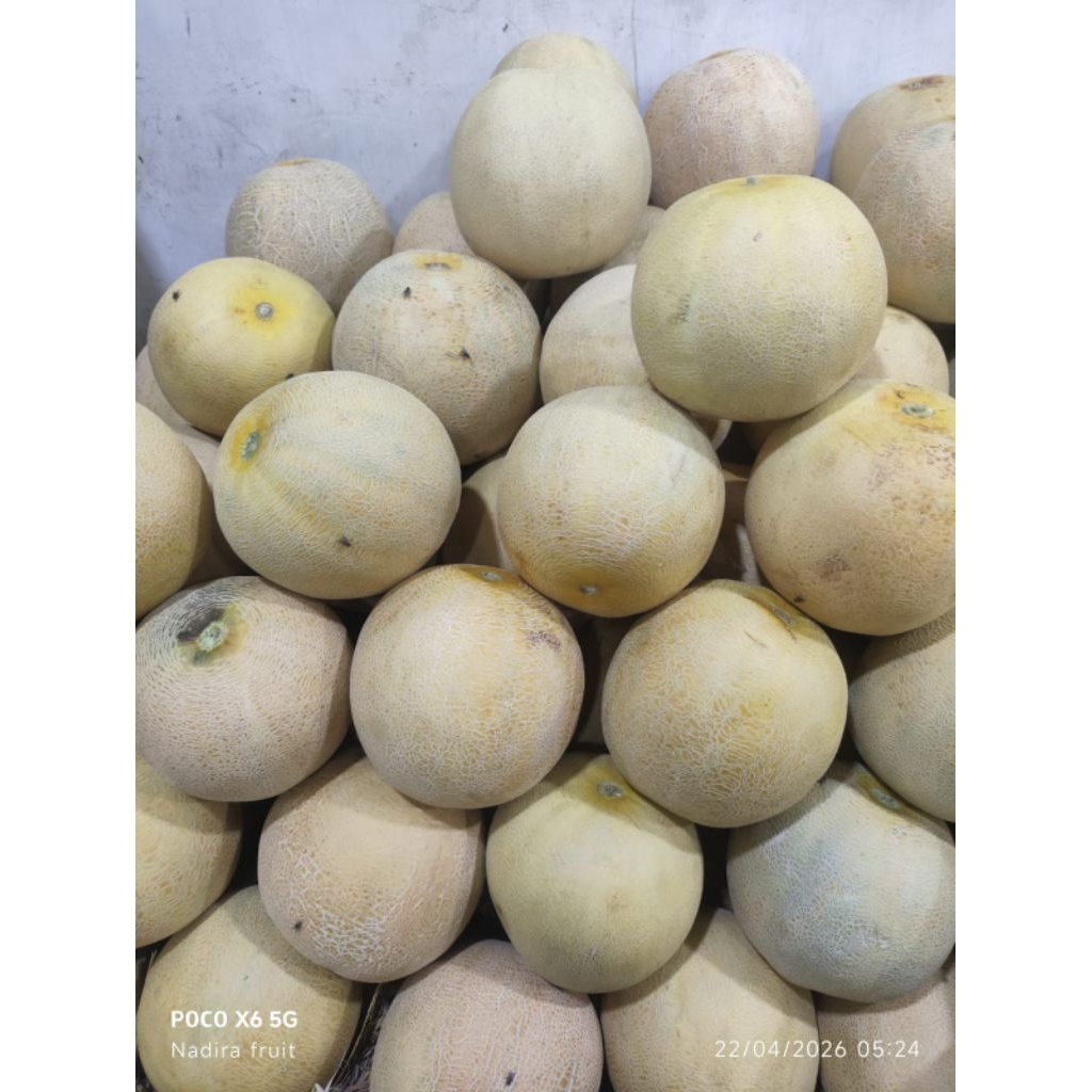 MELON MADU