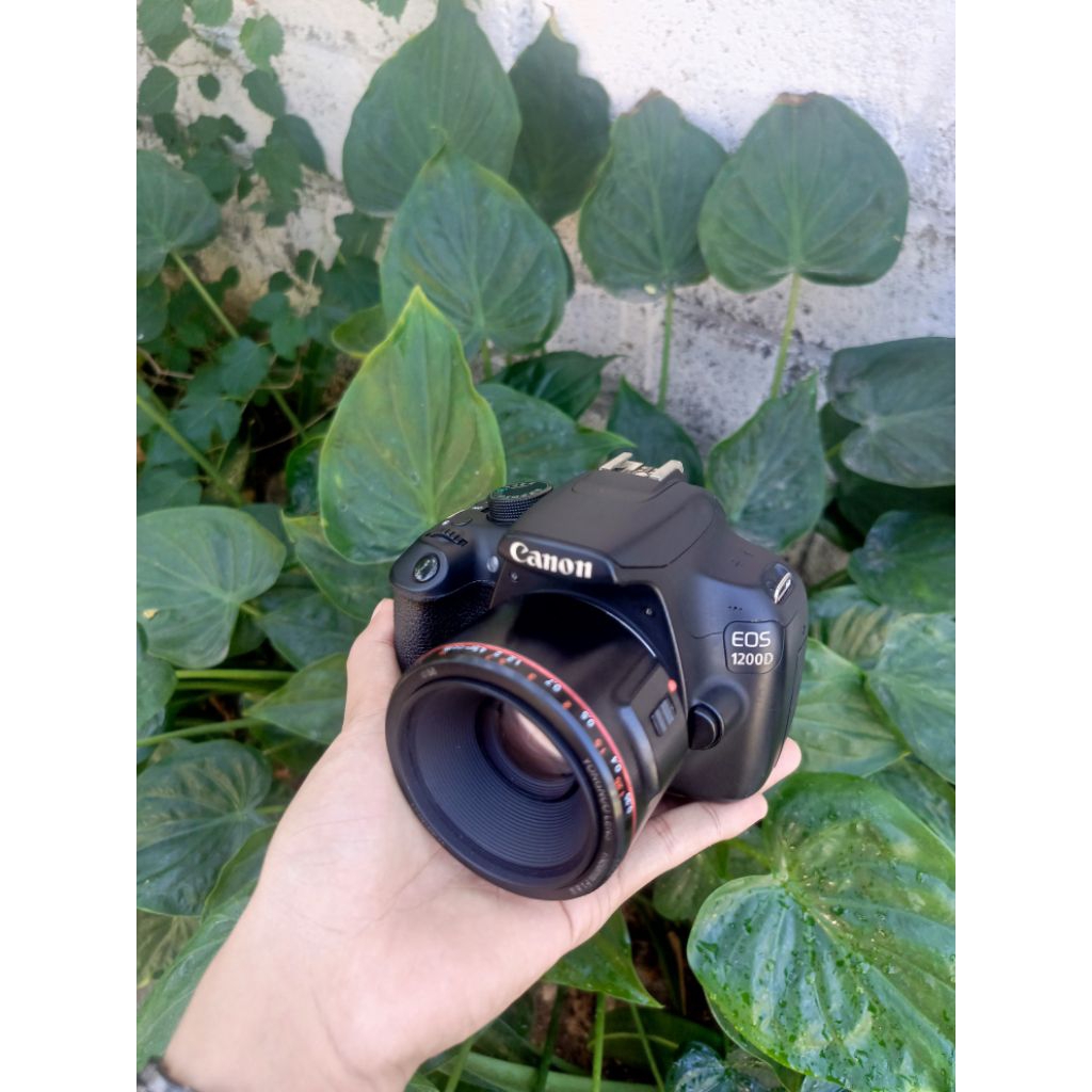 kamera dslr dan lensa fix murah