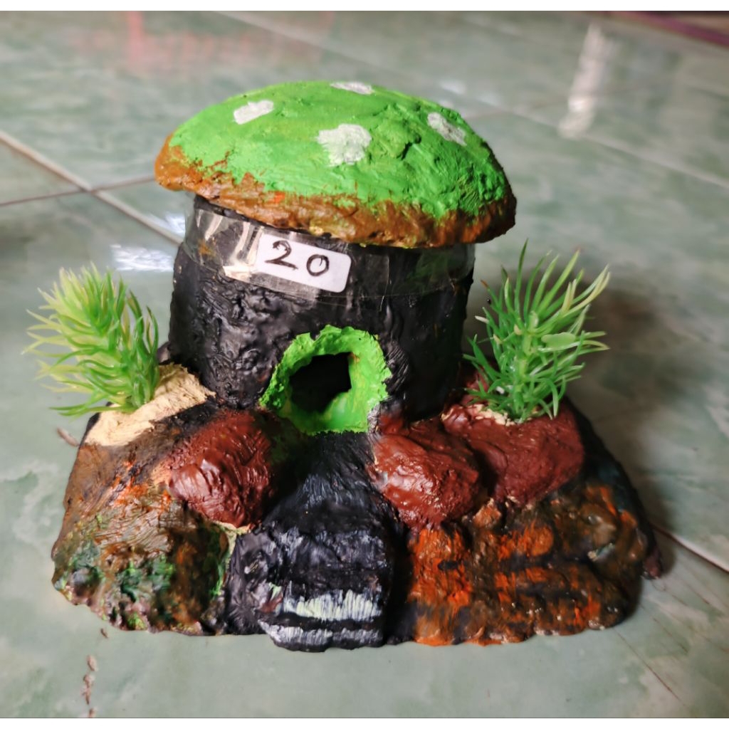 rumahjamur