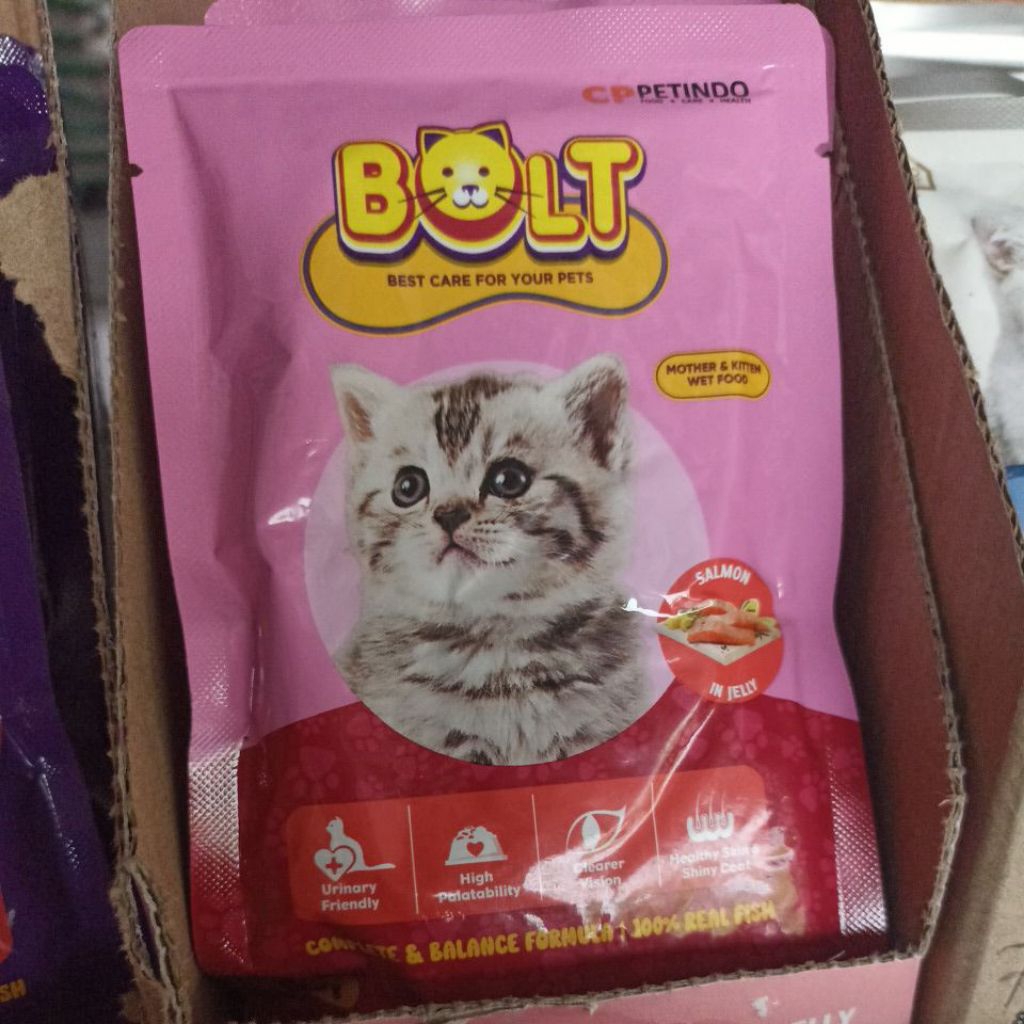 bolt kucing basah dewasa anak