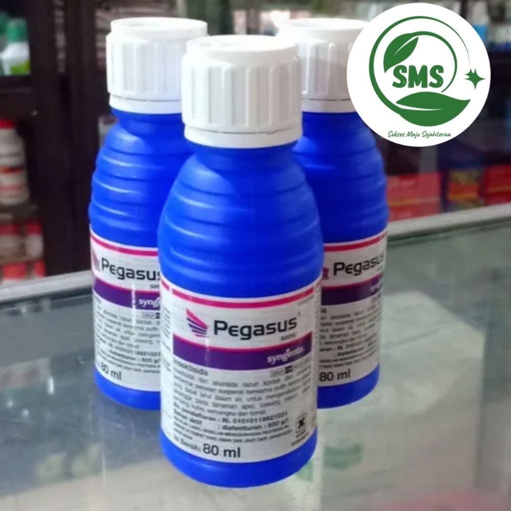 Pegasus 500 SC 80 ML