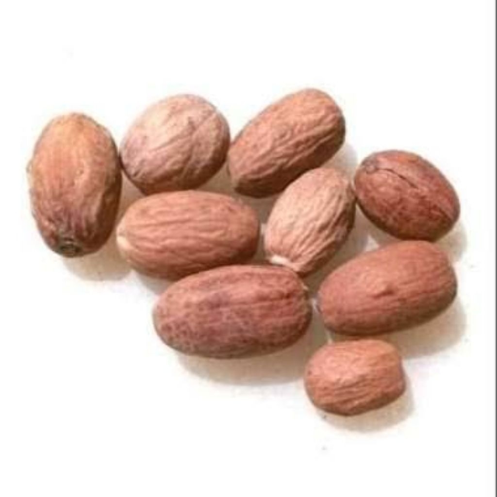 Biji pala 3 buah