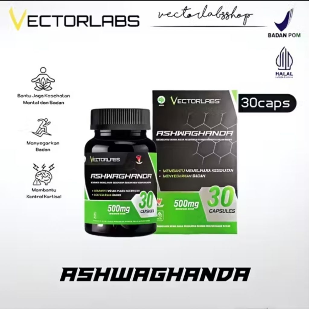 VECTORLABS ASHWAGANDA 500 MG EXTRACT 30 KAPSUL