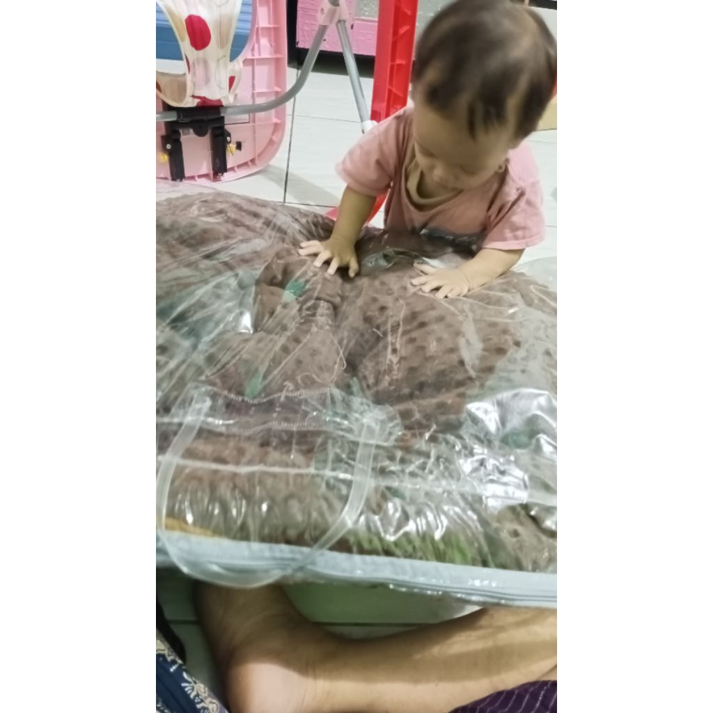 sopa bayi