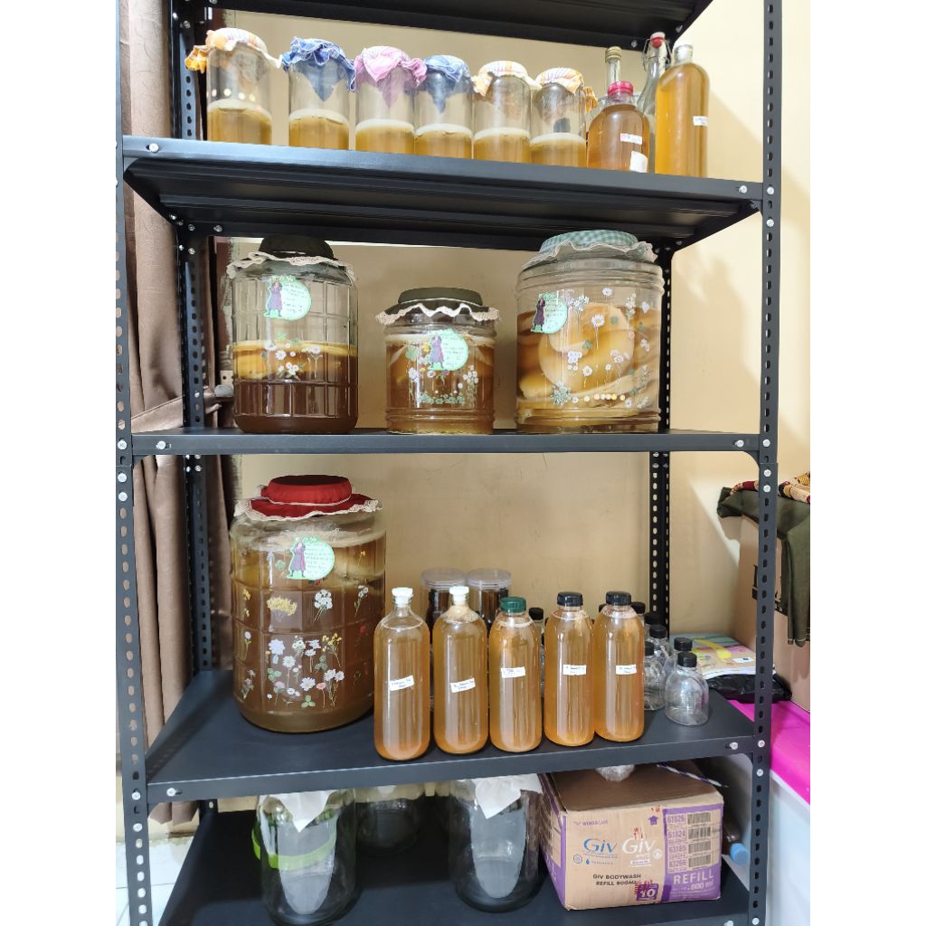 Raw Kombucha & Starter scoby.