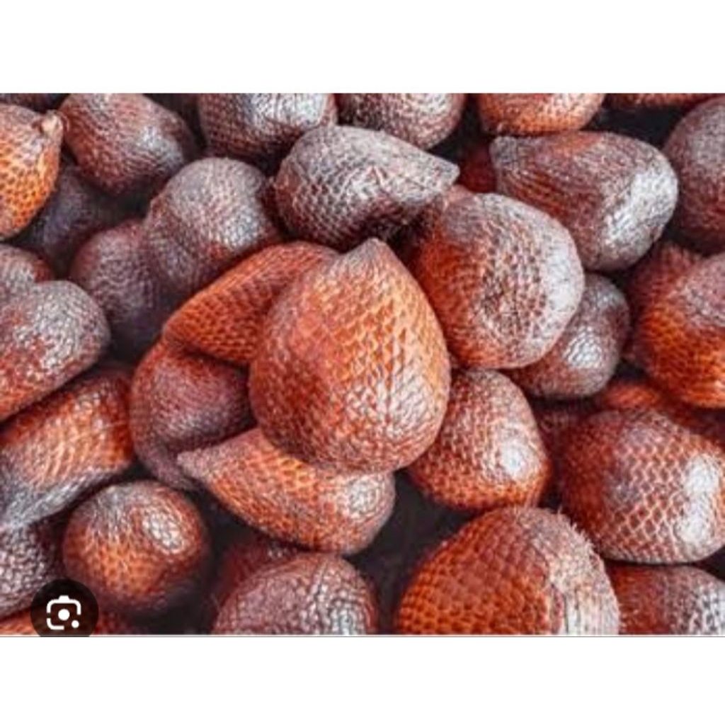 salak 1kg