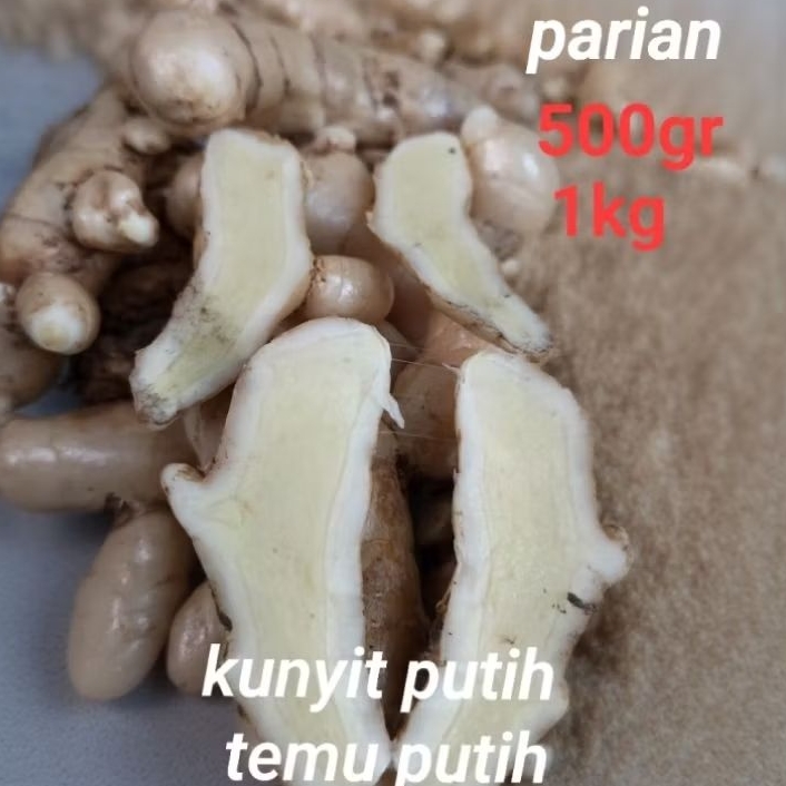 kunyit putih udah bersih bisa cod