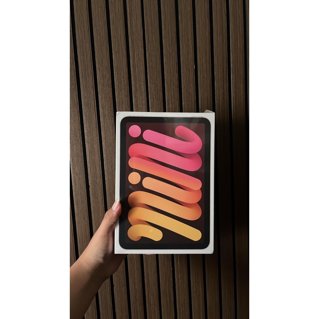 iPadMini6