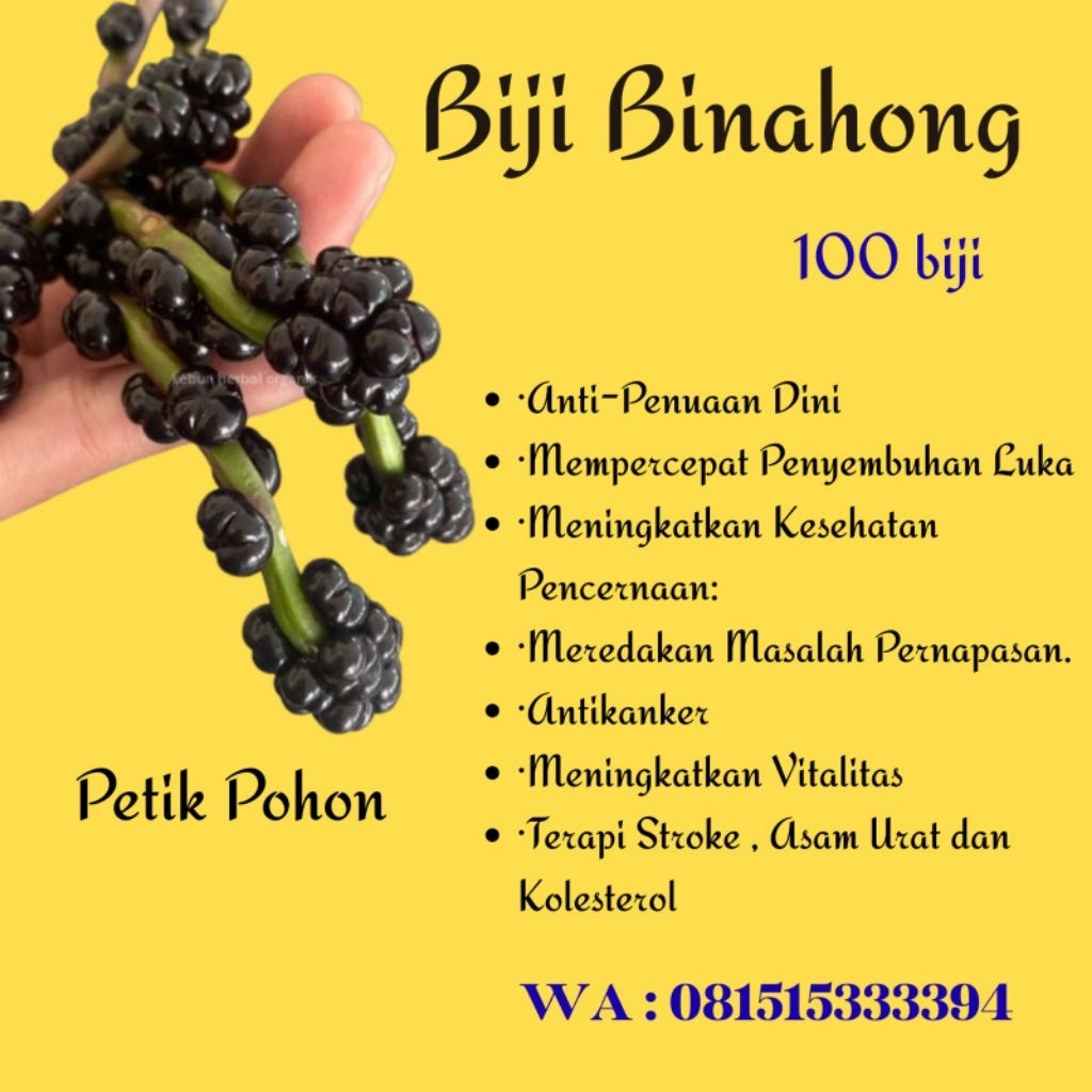 angkung100buah