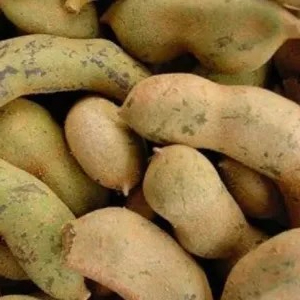 Asem mentah 100g