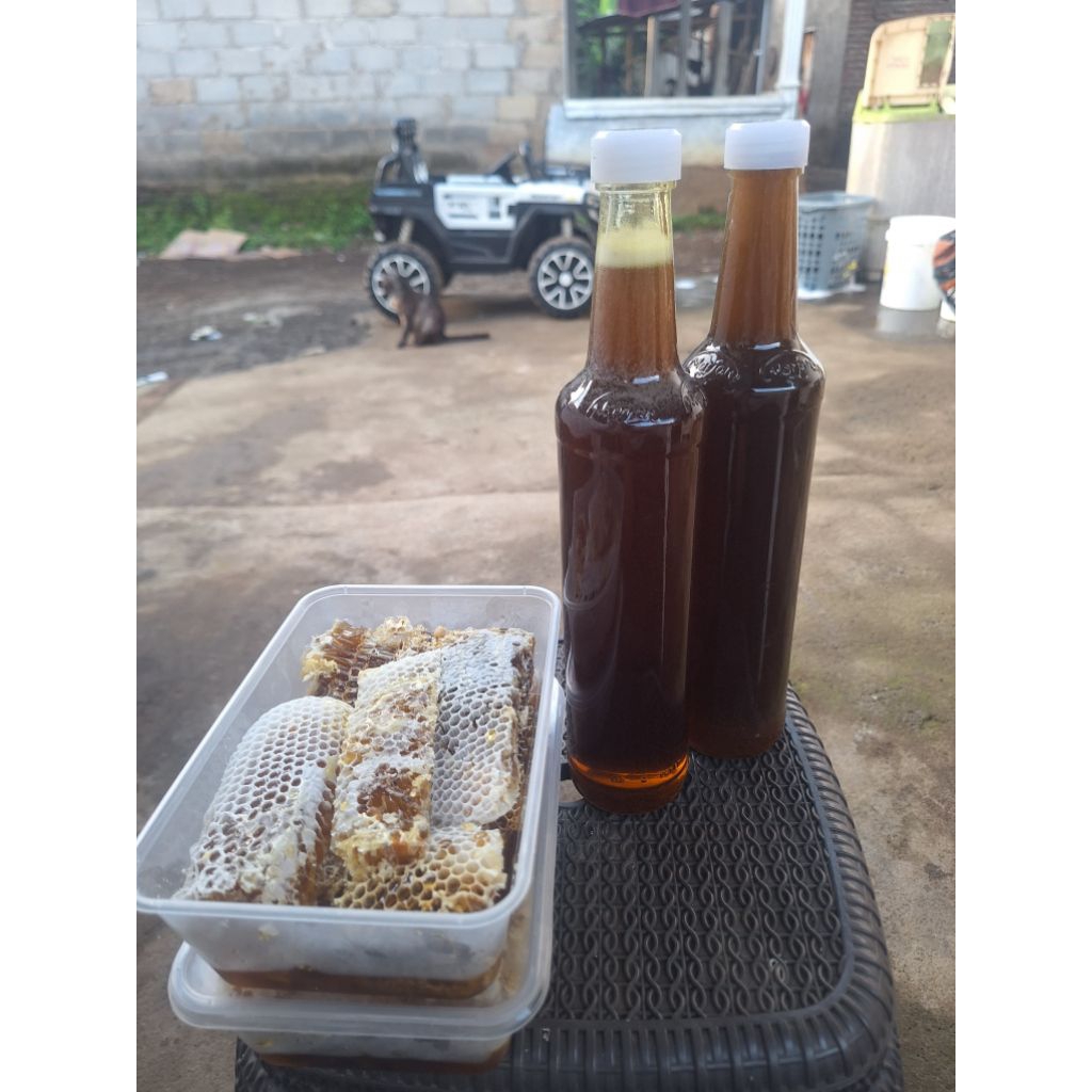 madu hutan liar