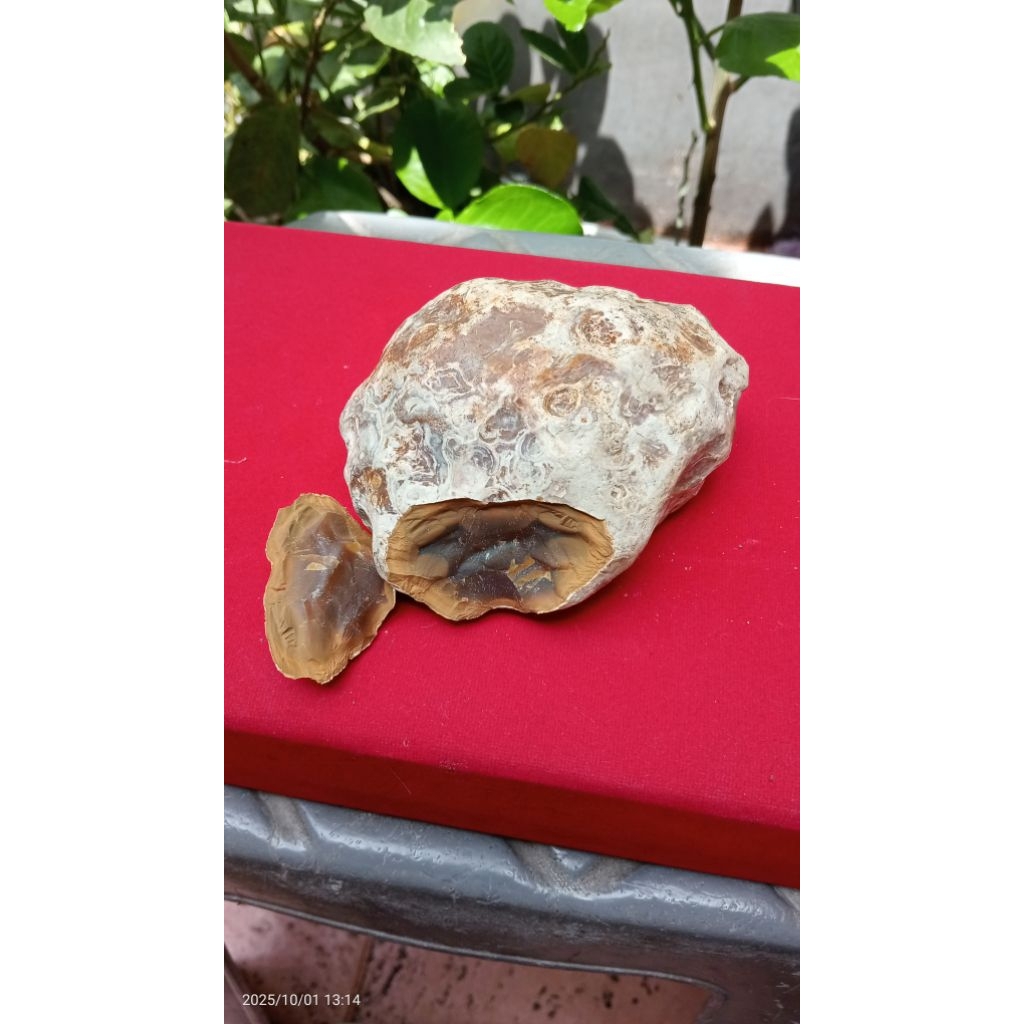 linkcoberat5000gram