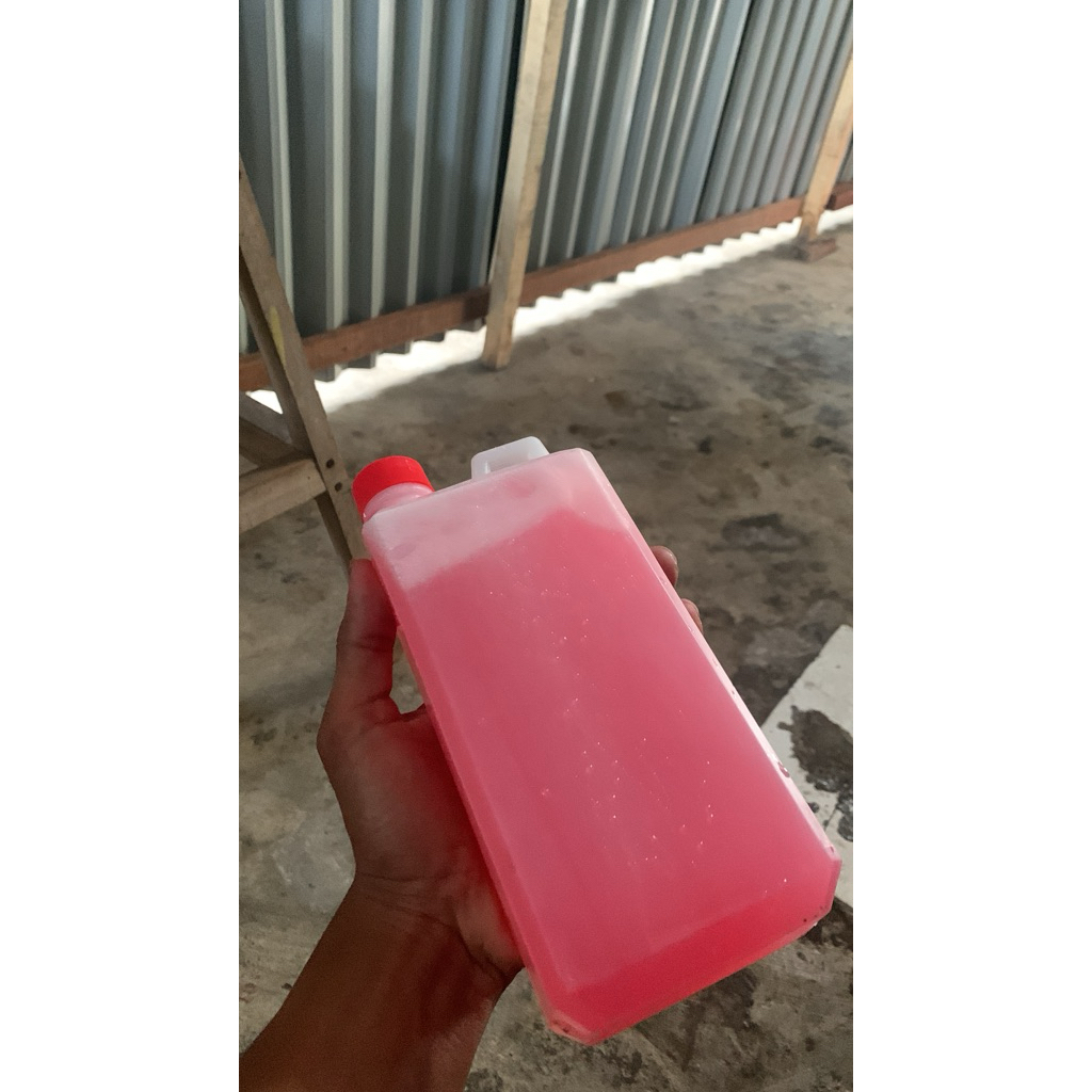 shamposnow