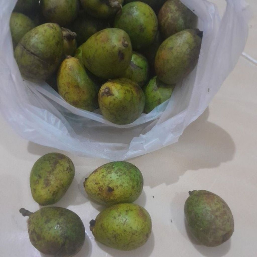 buah matoa