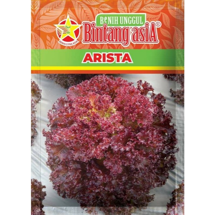 Biji 100 Benih Selada ARISTA