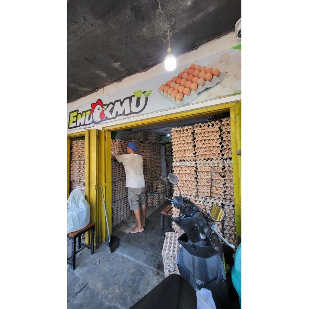 telur endokmu