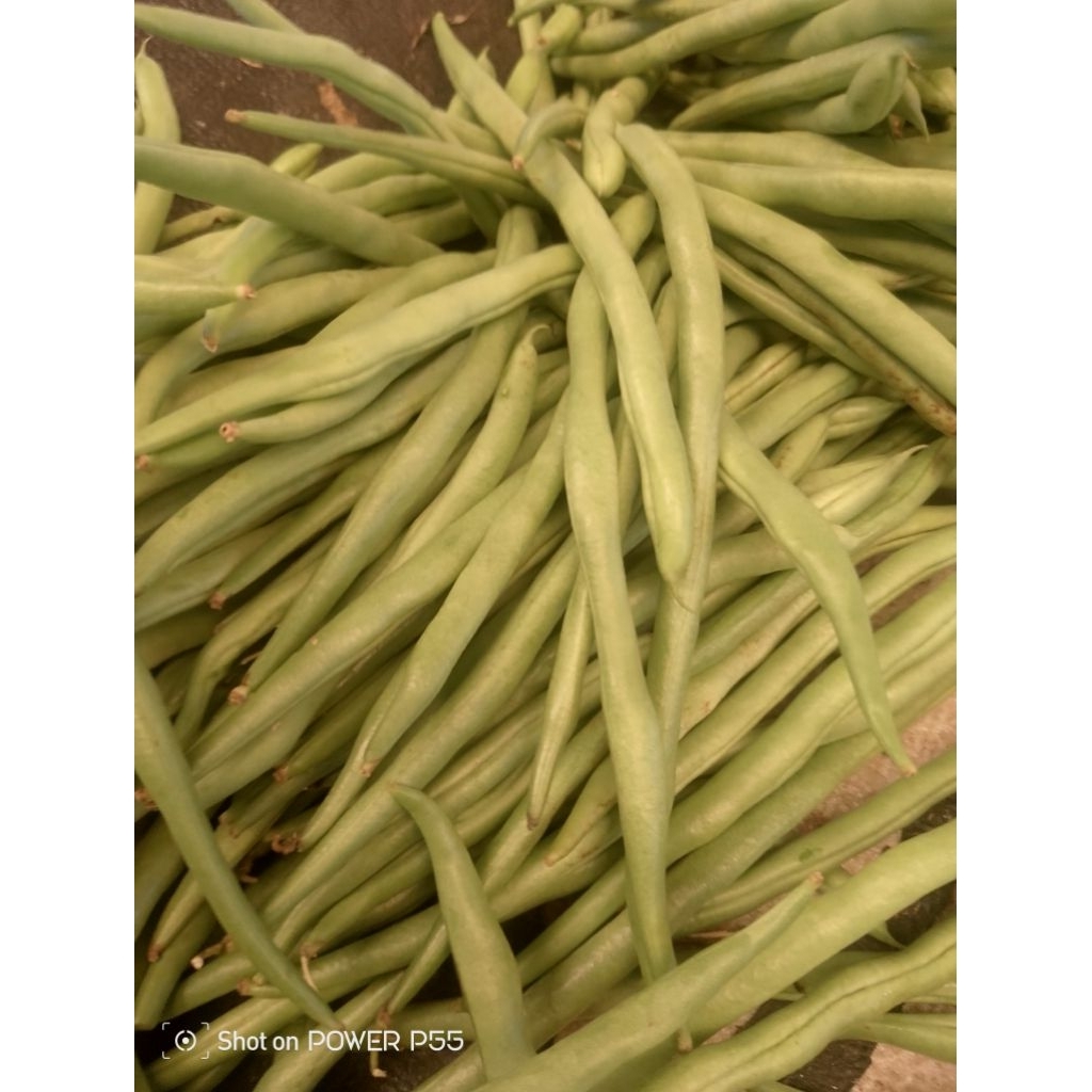 sayur buncis
