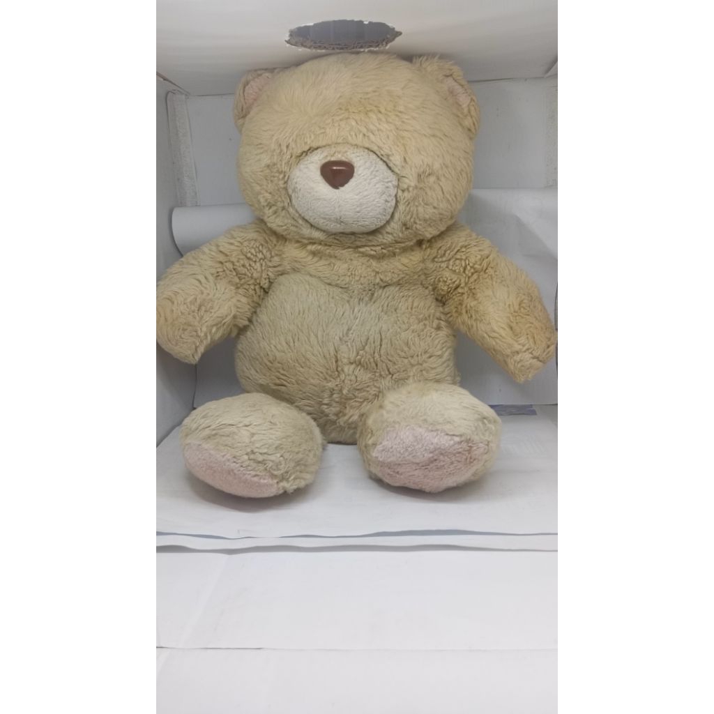 Boneka Teddy Forever Friends