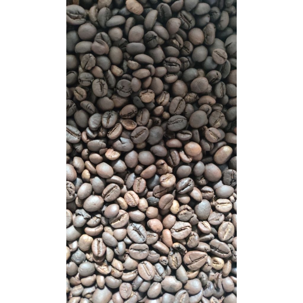 Roasted Bean robusta lampung espreso base
