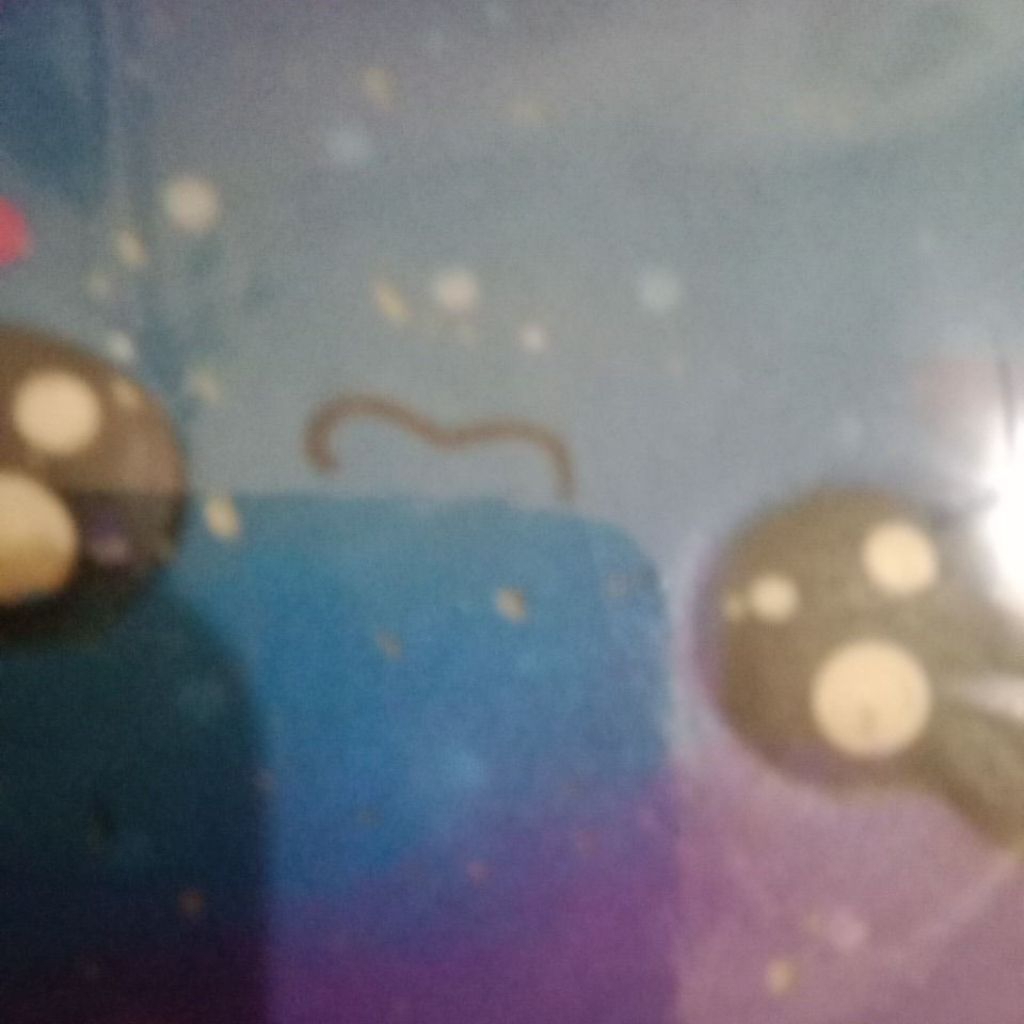 squishy galaxy link co ka loved