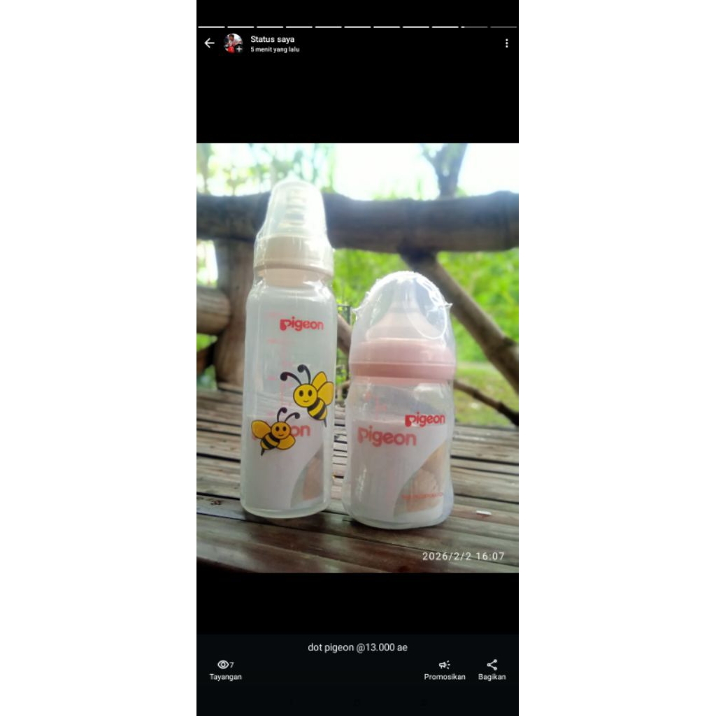 promo dot pigeon