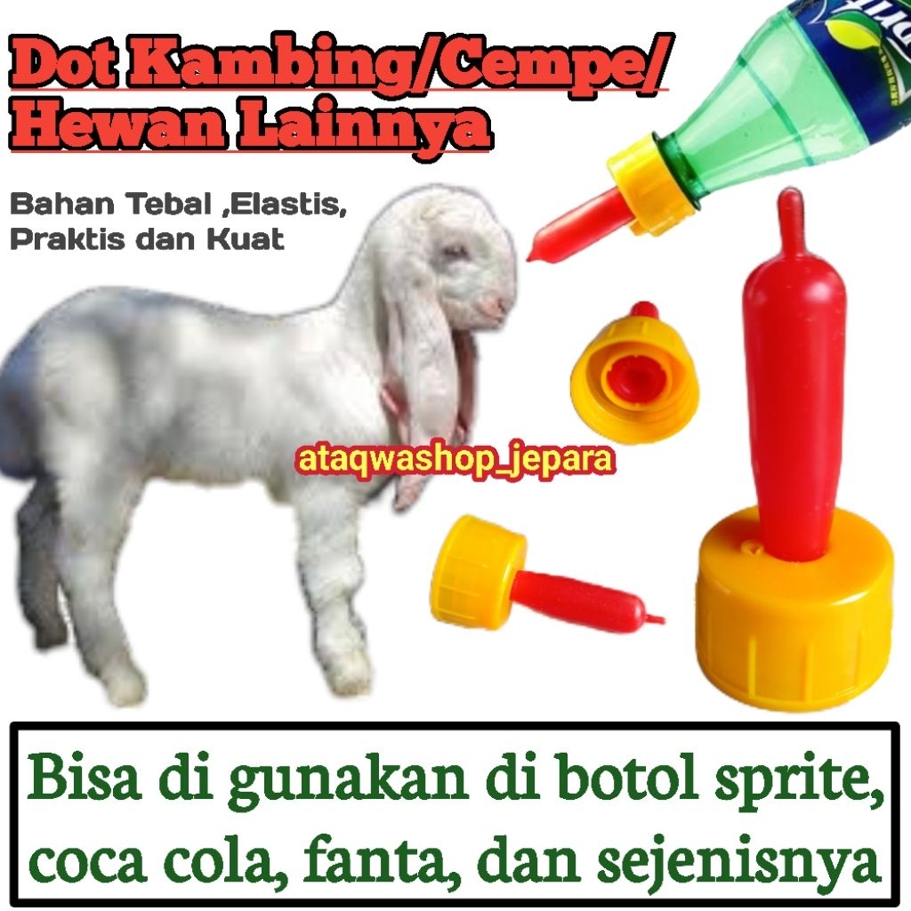 Dot Kambing/Cempe/Domba/Hewan Lainnya